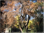 foto Giardini di Porta Venezia